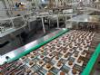 Linha completa de biscoitos laminados, rosquinhas, wafer, cream cracker 4500 kg por hora