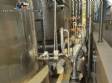 Planta completa ind�stria f�brica de alimentos para molhos bebidas concentrados caldas coberturas condimentos cosm�ticos