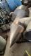 Suspiro (Vent) para tanques com v�lvula GEA