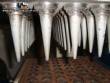 Fabricadora de casquinha de biju sorvetes doces 60 cavidades tipo cone